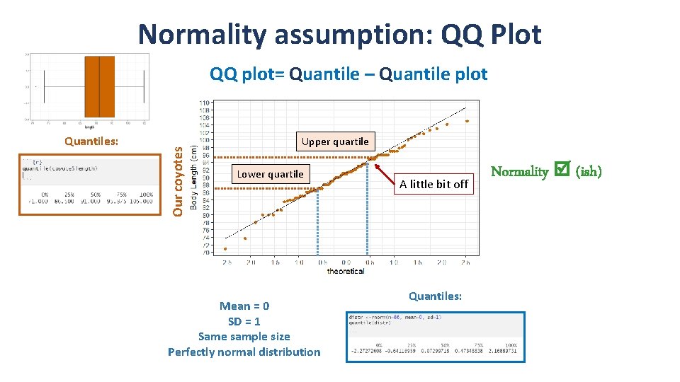 Normality assumption: QQ Plot Quantiles: Our coyotes QQ plot= Quantile – Quantile plot Upper