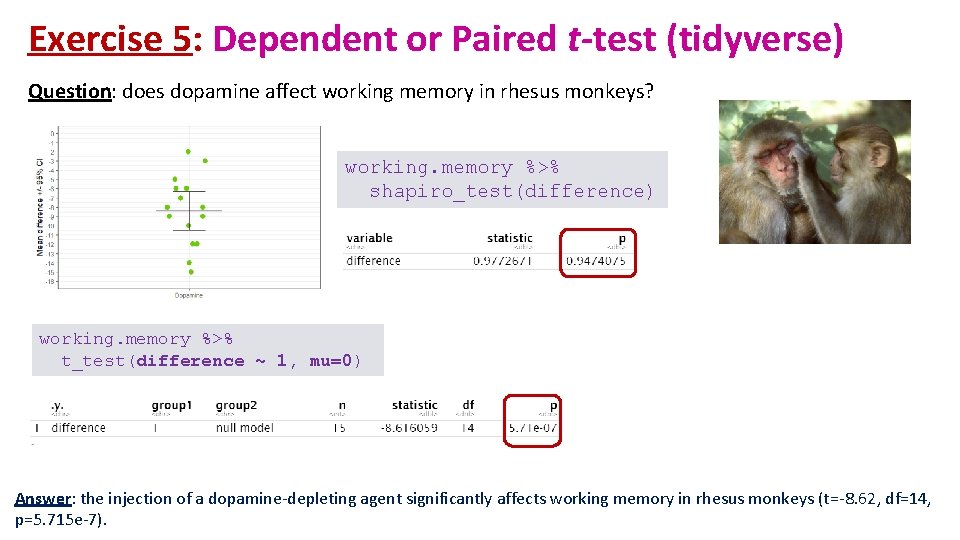 Exercise 5: Dependent or Paired t-test (tidyverse) Question: does dopamine affect working memory in