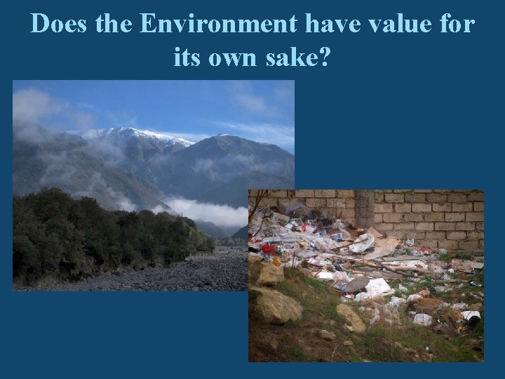 Does the Environment have value for its own sake? 