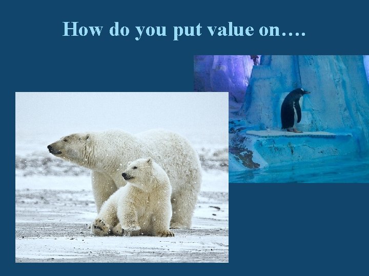 How do you put value on…. 