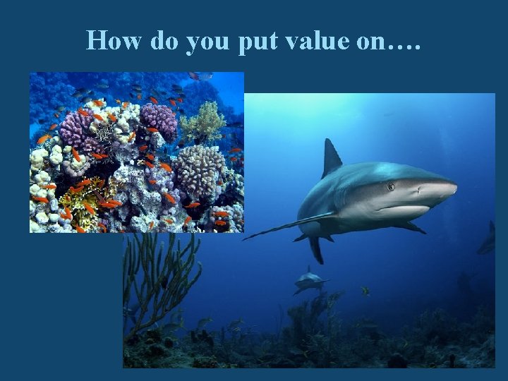 How do you put value on…. 