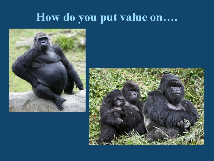 How do you put value on…. 