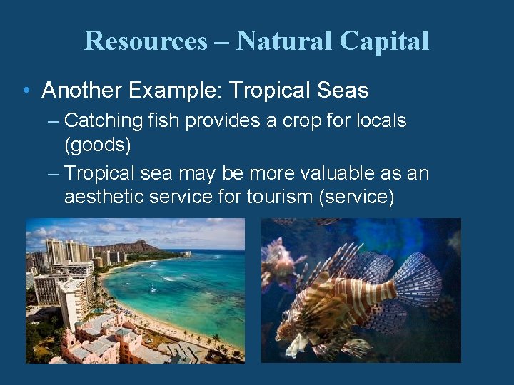 Resources – Natural Capital • Another Example: Tropical Seas – Catching fish provides a