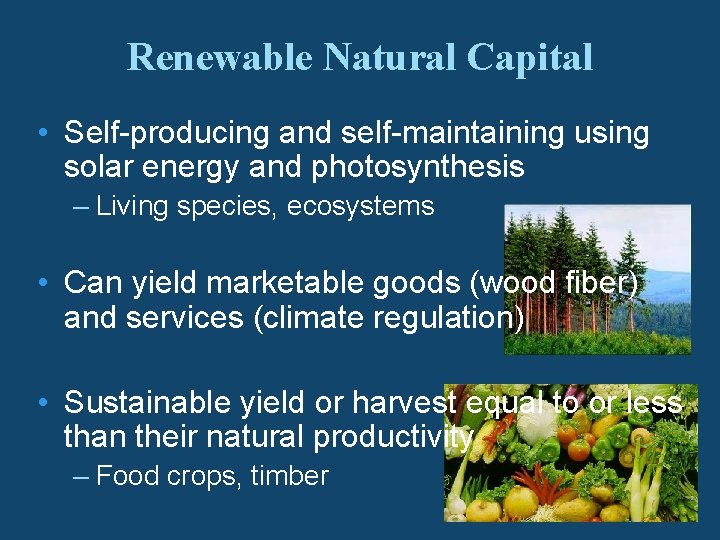 Renewable Natural Capital • Self-producing and self-maintaining using solar energy and photosynthesis – Living