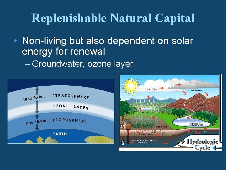Replenishable Natural Capital • Non-living but also dependent on solar energy for renewal –