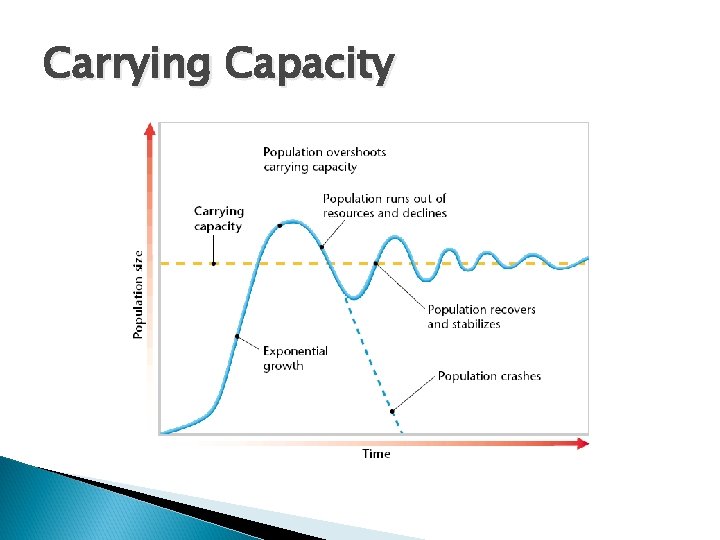 Carrying Capacity 