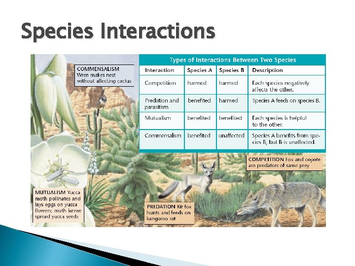 Species Interactions 