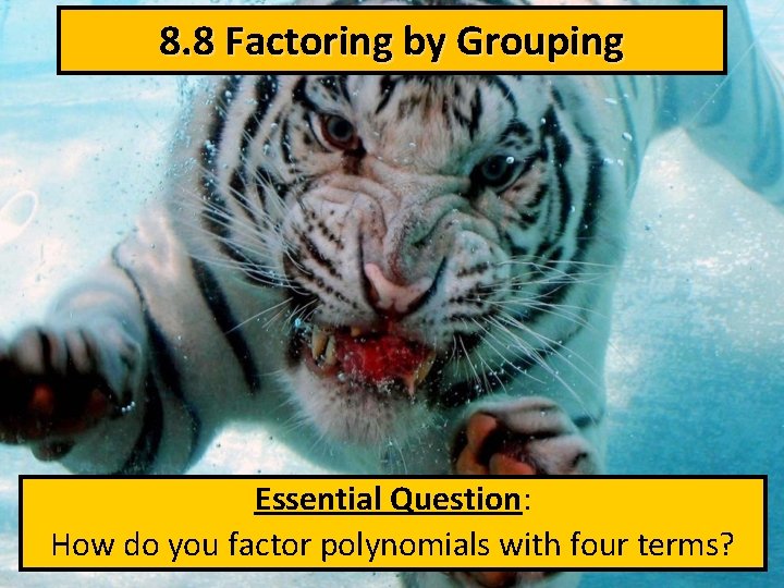 8. 8 Factoring by Grouping Essential Question: How do you factor polynomials with four