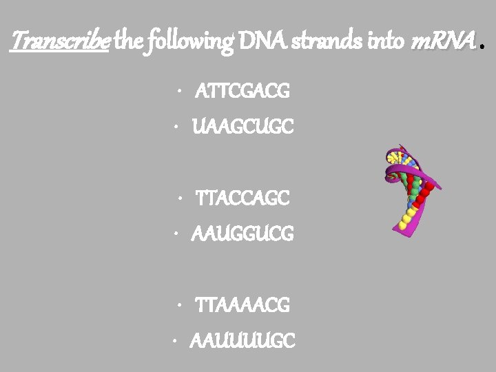 Transcribe the following DNA strands into m. RNA. • ATTCGACG • UAAGCUGC • TTACCAGC