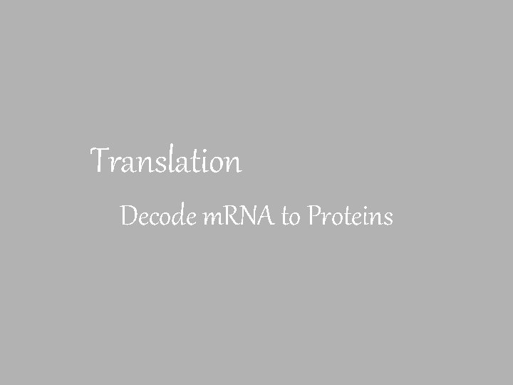 Translation Decode m. RNA to Proteins 