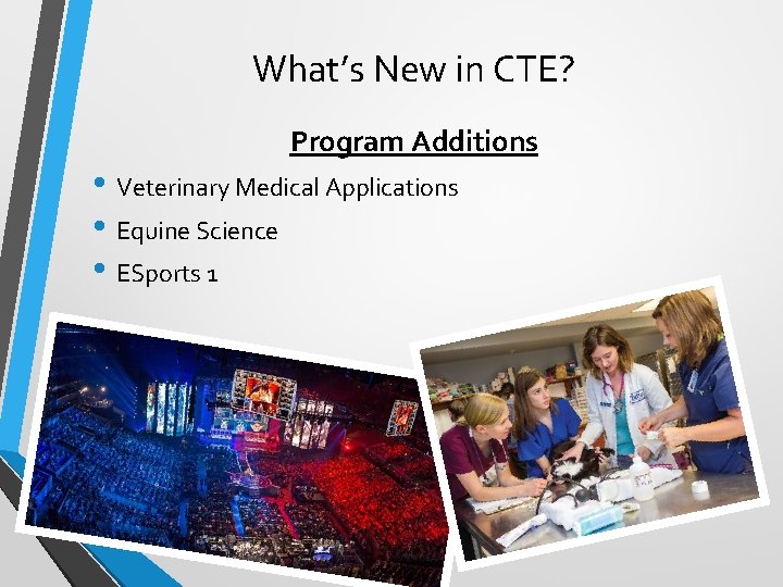 What’s New in CTE? Program Additions • Veterinary Medical Applications • Equine Science •