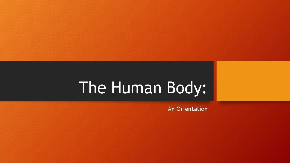 The Human Body: An Orientation 