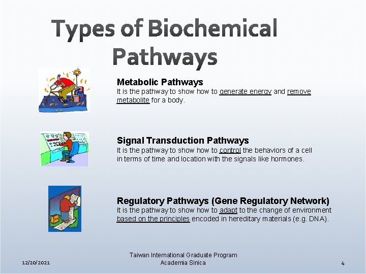 Metabolic Pathways It is the pathway to show to generate energy and remove metabolite