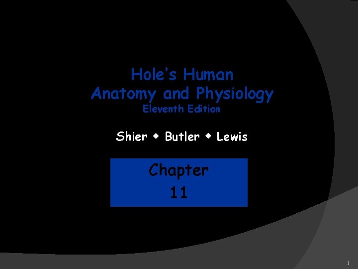 Hole’s Human Anatomy and Physiology Eleventh Edition Shier w Butler w Lewis Chapter 11