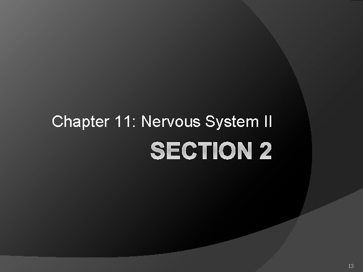 Chapter 11: Nervous System II SECTION 2 13 