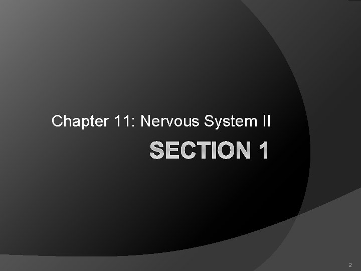 Chapter 11: Nervous System II SECTION 1 2 