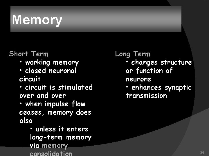 Memory Short Term • working memory • closed neuronal circuit • circuit is stimulated