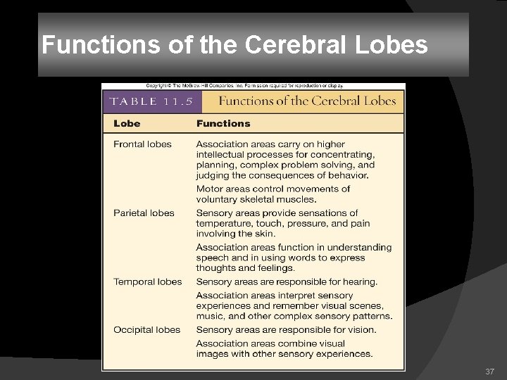 Functions of the Cerebral Lobes 37 