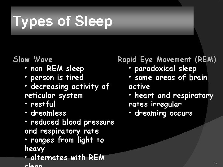 Types of Sleep Slow Wave Rapid Eye Movement (REM) • non-REM sleep • paradoxical