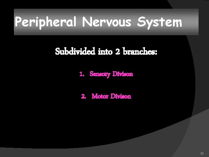Peripheral Nervous System Subdivided into 2 branches: 1. Sensory Divison 2. Motor Divison 51