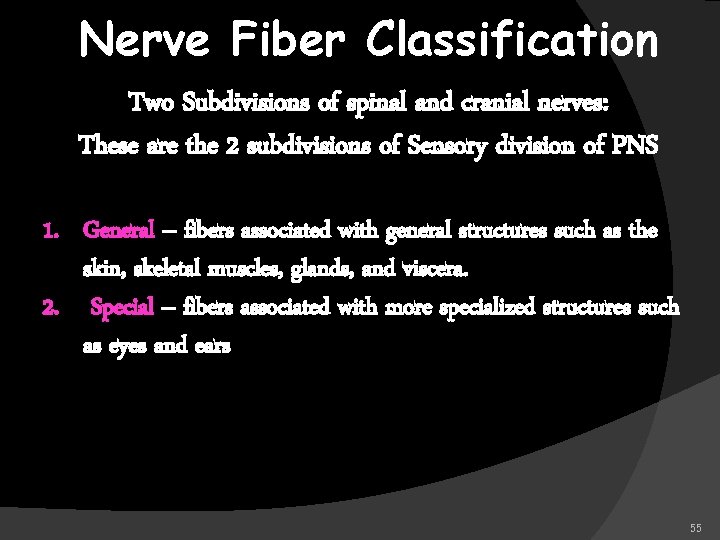 Nerve Fiber Classification Two Subdivisions of spinal and cranial nerves: These are the 2