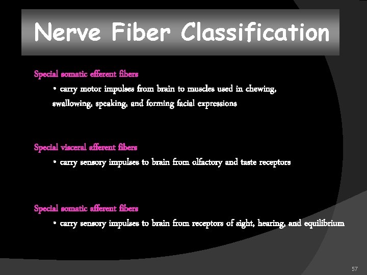 Nerve Fiber Classification Special somatic efferent fibers • carry motor impulses from brain to