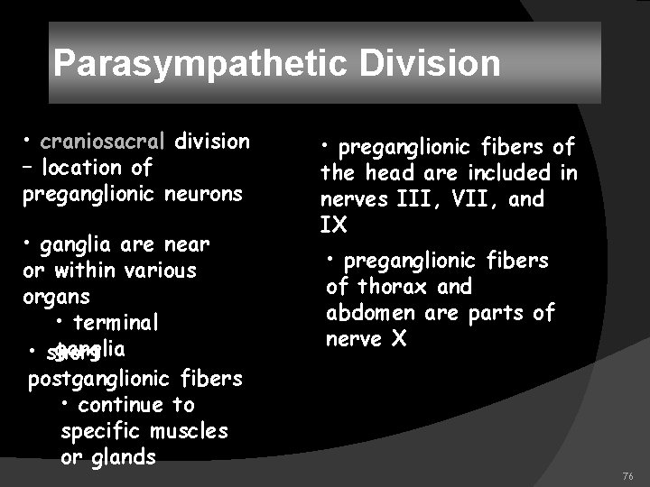 Parasympathetic Division • craniosacral division – location of preganglionic neurons • ganglia are near