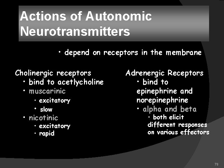 Actions of Autonomic Neurotransmitters • depend on receptors in the membrane Cholinergic receptors •