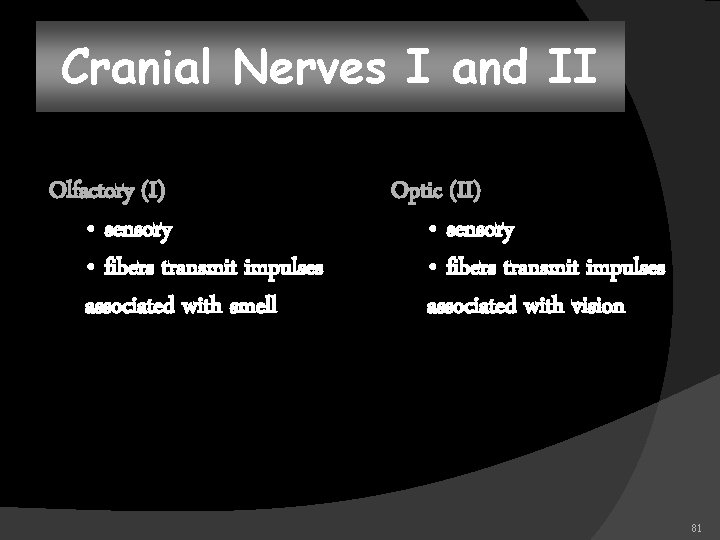 Cranial Nerves I and II Olfactory (I) • sensory • fibers transmit impulses associated