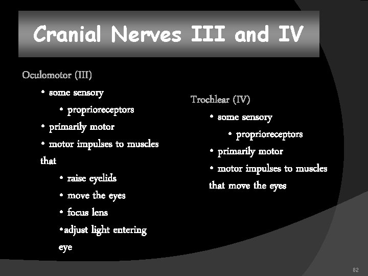 Cranial Nerves III and IV Oculomotor (III) • some sensory • proprioreceptors • primarily