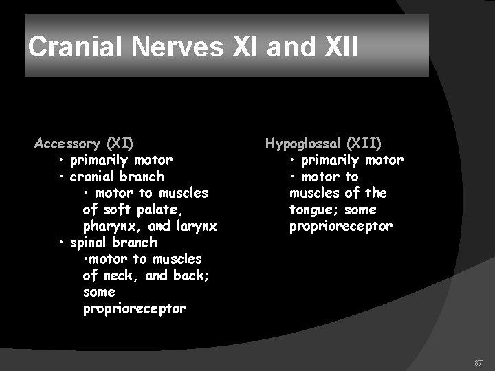 Cranial Nerves XI and XII Accessory (XI) • primarily motor • cranial branch •