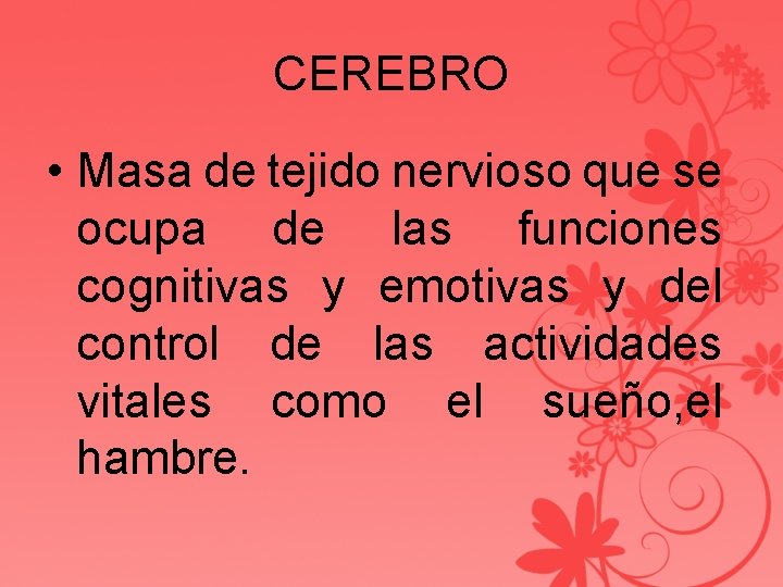 CEREBRO • Masa de tejido nervioso que se ocupa de las funciones cognitivas y