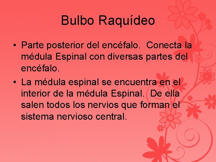 Bulbo Raquídeo • Parte posterior del encéfalo. Conecta la médula Espinal con diversas partes