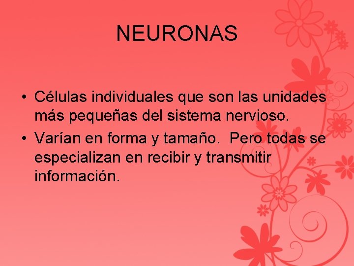 NEURONAS • Células individuales que son las unidades más pequeñas del sistema nervioso. •