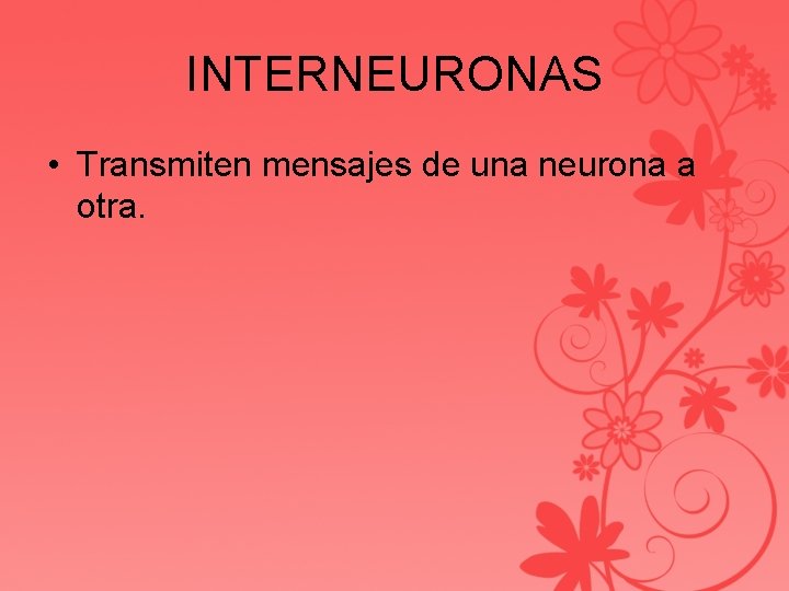 INTERNEURONAS • Transmiten mensajes de una neurona a otra. 