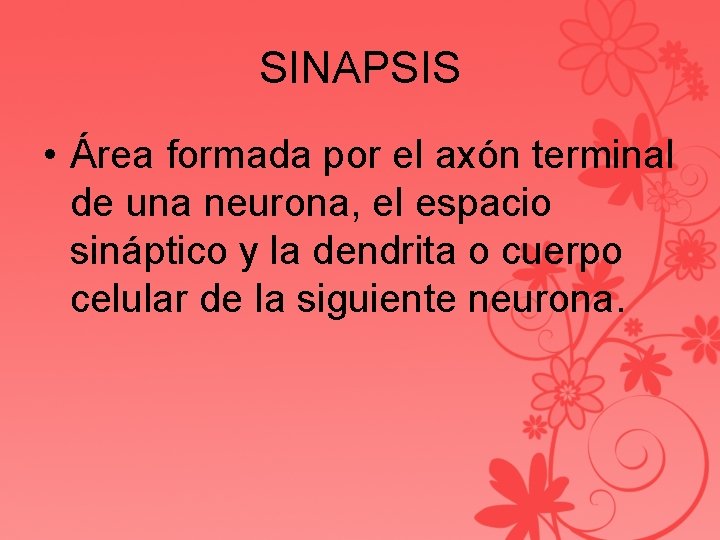 SINAPSIS • Área formada por el axón terminal de una neurona, el espacio sináptico
