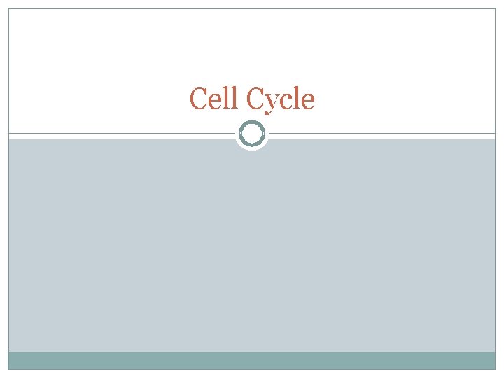 Cell Cycle 