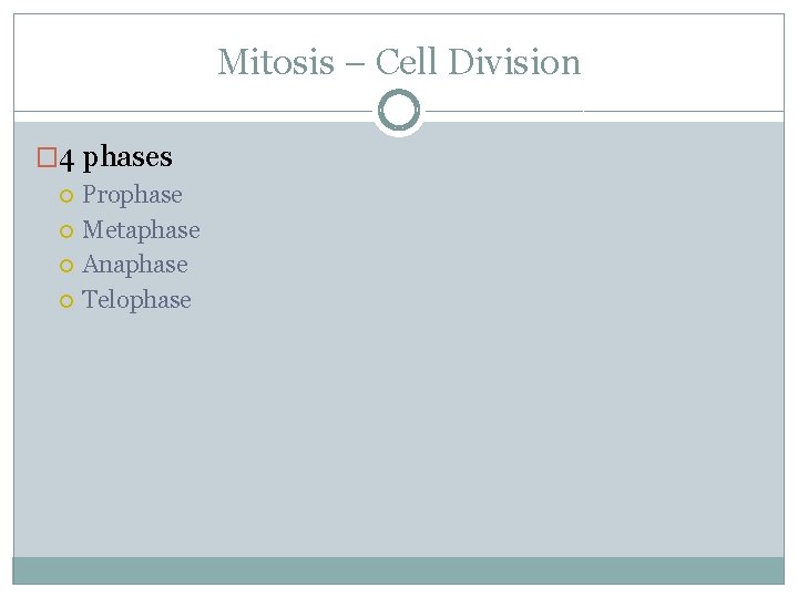 Mitosis – Cell Division � 4 phases Prophase Metaphase Anaphase Telophase 