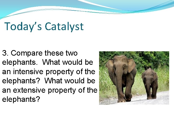 Today’s Catalyst 3. Compare these two elephants. What would be an intensive property of Today’s Catalyst 3. Compare these two elephants. What would be an intensive property of