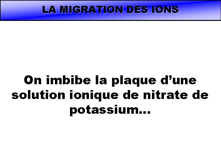 LA MIGRATION DES IONS On imbibe la plaque d’une solution ionique de nitrate de