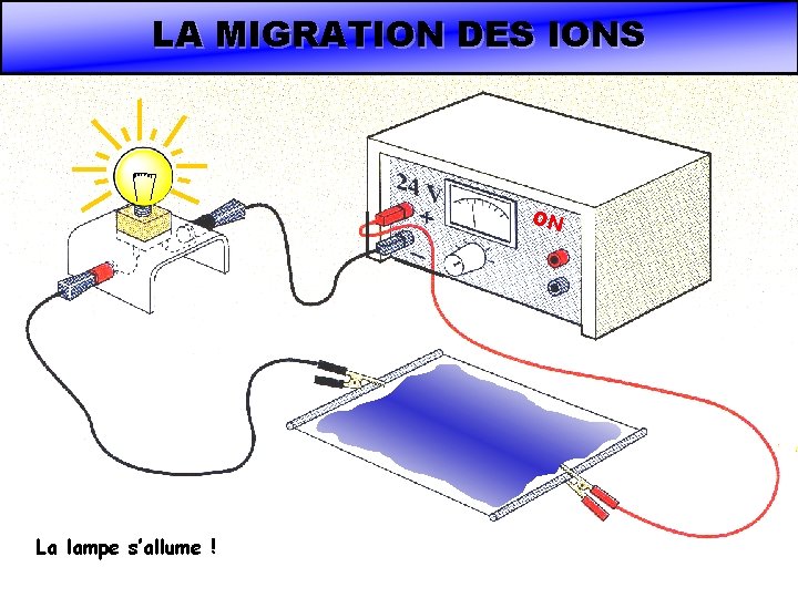 LA MIGRATION DES IONS ON La lampe s’allume ! 