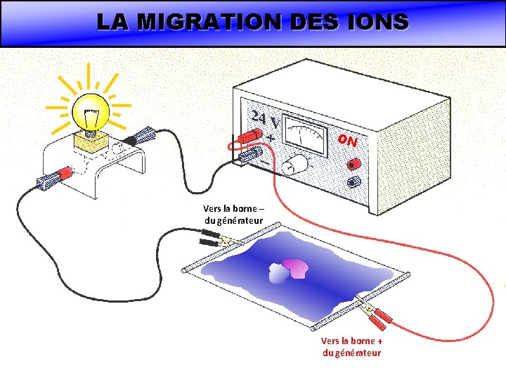 LA MIGRATION DES IONS ON Vers la borne – du générateur Vers la borne