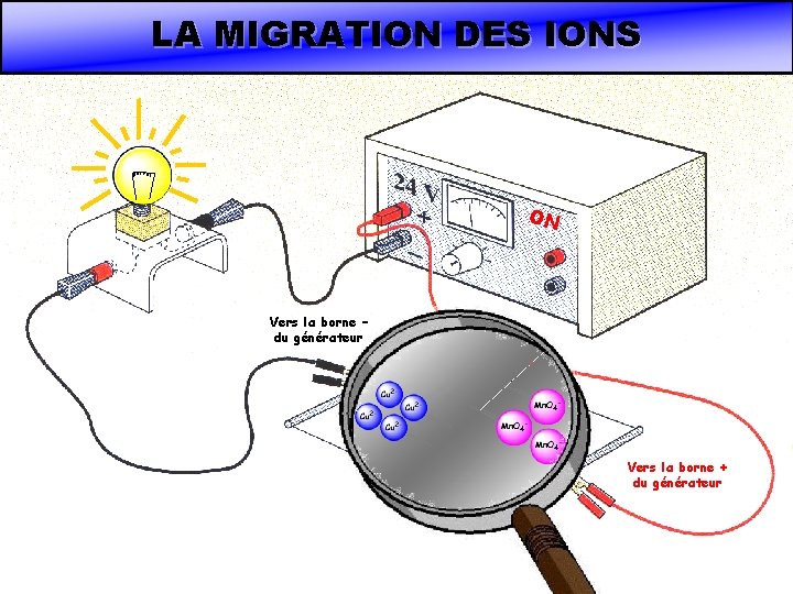 LA MIGRATION DES IONS ON Vers la borne – du générateur Vers la borne