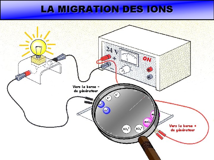 LA MIGRATION DES IONS ON Vers la borne – du générateur Vers la borne