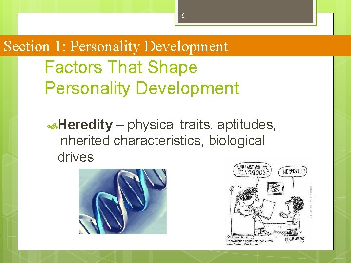 6 Section 1: Personality Development Factors That Shape Personality Development Heredity – physical traits,