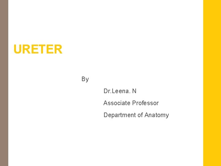 URETER By Dr. Leena. N Associate Professor Department of Anatomy 