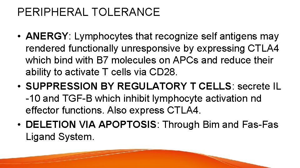 PERIPHERAL TOLERANCE • ANERGY: Lymphocytes that recognize self antigens may rendered functionally unresponsive by