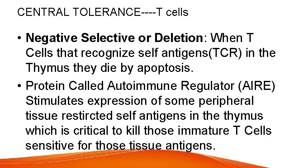 CENTRAL TOLERANCE----T cells • Negative Selective or Deletion: When T Cells that recognize self