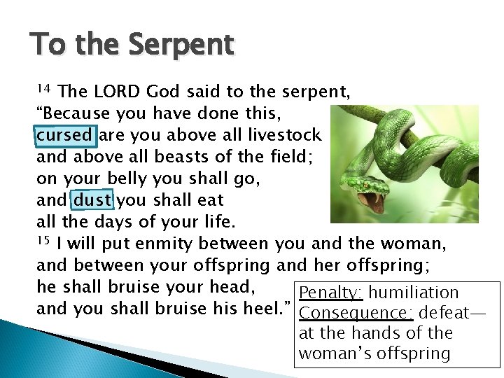 To the Serpent The LORD God said to the serpent, “Because you have done