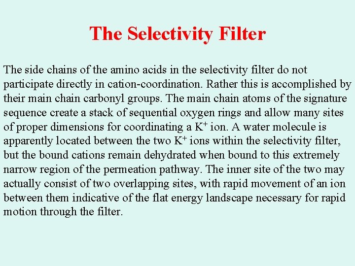 The Selectivity Filter The side chains of the amino acids in the selectivity filter The Selectivity Filter The side chains of the amino acids in the selectivity filter